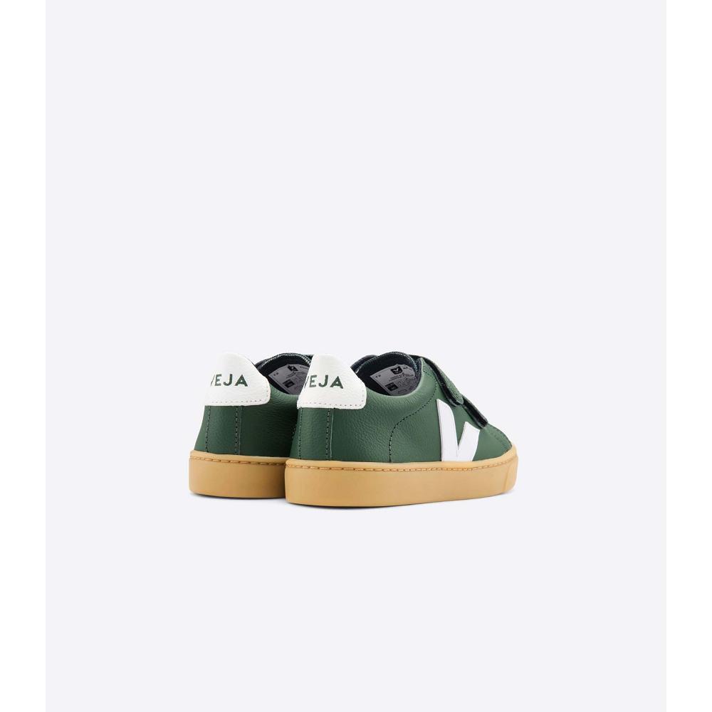 Veja ESPLAR LEATHER Kids' Shoes Green | NZ 736TCE